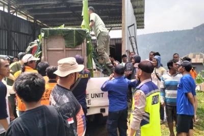 Muncul Pagi-Pagi di Rumah Warga! Macan Kumbang Luka Akhirnya Berhasil Dievakuasi